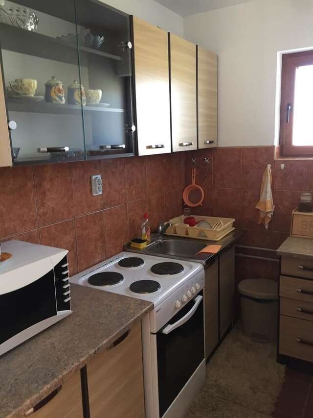 Дома для отпуска Vacation Home Iva Жабляк-21